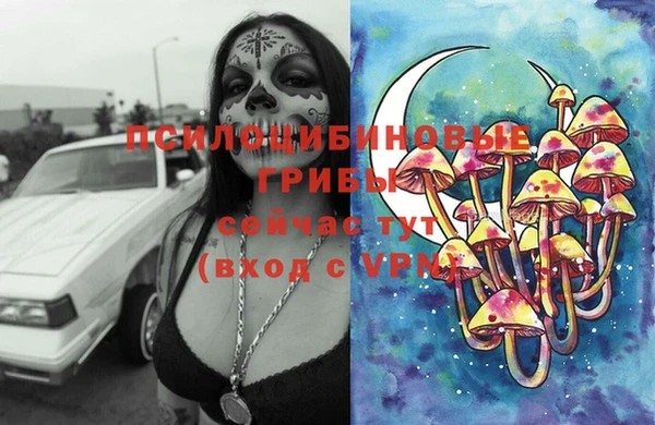 прущая мука Елабуга