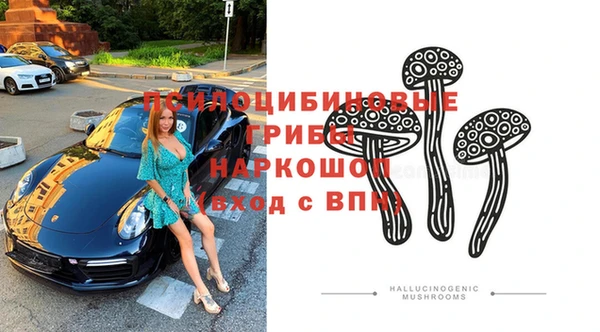 прущая мука Елабуга